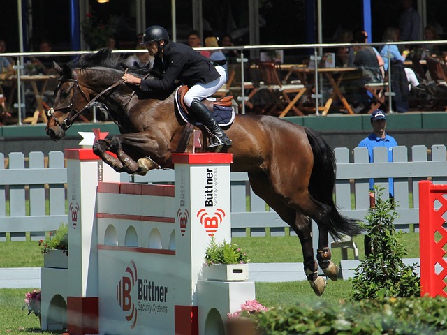 通过这篇文 通过这篇文